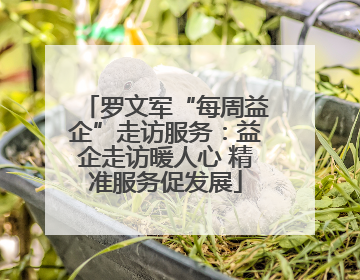 罗文军“每周益企”走访服务：益企走访暖人心 精准服务促发展