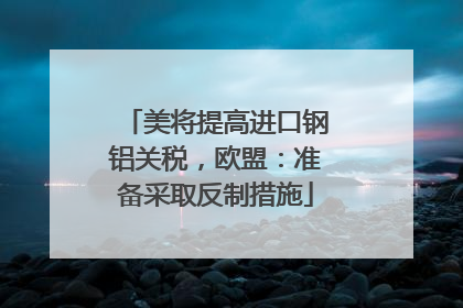 美将提高进口钢铝关税，欧盟：准备采取反制措施