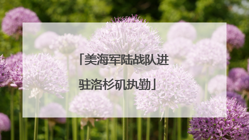 美海军陆战队进驻洛杉矶执勤