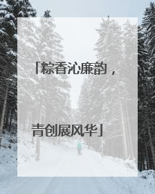 粽香沁廉韵，青创展风华