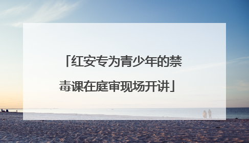 红安专为青少年的禁毒课在庭审现场开讲