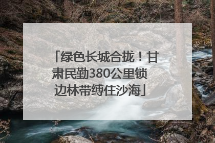绿色长城合拢！甘肃民勤380公里锁边林带缚住沙海