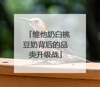 维他奶白桃豆奶背后的品类升级战