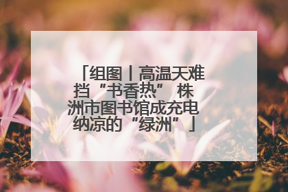 组图丨高温天难挡“书香热” 株洲市图书馆成充电纳凉的“绿洲”