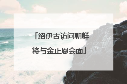 绍伊古访问朝鲜 将与金正恩会面
