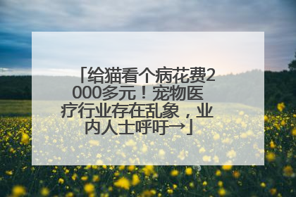 给猫看个病花费2000多元！宠物医疗行业存在乱象，业内人士呼吁→