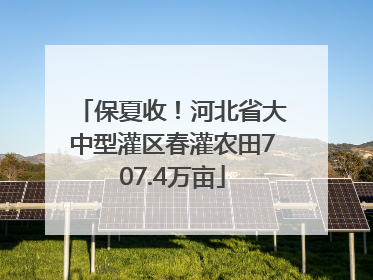 保夏收！河北省大中型灌区春灌农田707.4万亩