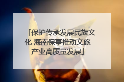 保护传承发展民族文化 海南保亭推动文旅产业高质量发展