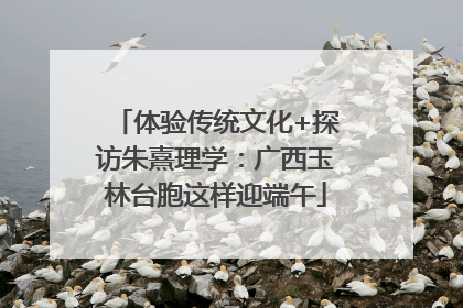 体验传统文化+探访朱熹理学：广西玉林台胞这样迎端午