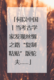 何以中国丨当考古学家发现丝绸之路“复制粘贴”版驼夫……