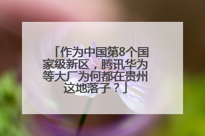 作为中国第8个国家级新区，腾讯华为等大厂为何都在贵州这地落子？
