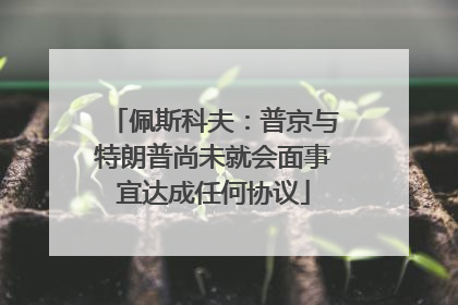佩斯科夫：普京与特朗普尚未就会面事宜达成任何协议