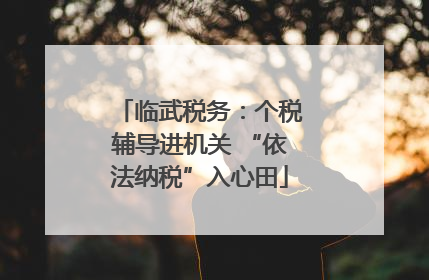 临武税务：个税辅导进机关 “依法纳税”入心田