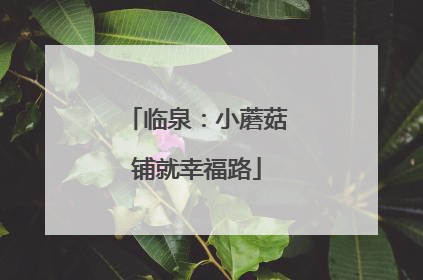 临泉：小蘑菇铺就幸福路