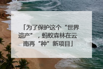 为了保护这个“世界遗产”，蚂蚁森林在云南再“种”新项目