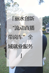 丽水创新“流动直播带岗车”全域就业服务