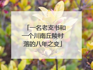 一名老支书和一个川南丘陵村落的八年之变