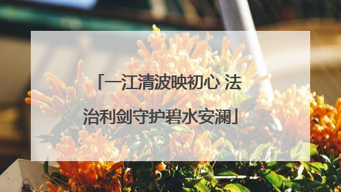 一江清波映初心 法治利剑守护碧水安澜
