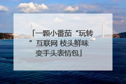 一颗小番茄“玩转”互联网 枝头鲜味变手头表情包