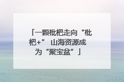 一颗枇杷走向“枇杷+” 山海资源成为“聚宝盆”