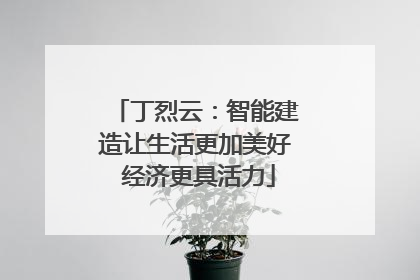 丁烈云：智能建造让生活更加美好 经济更具活力