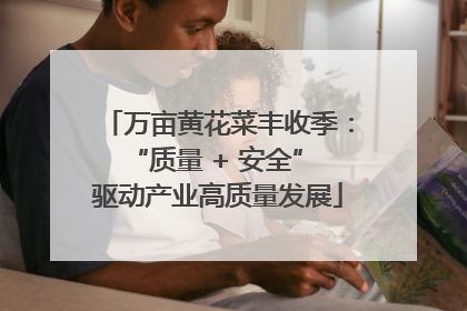 万亩黄花菜丰收季：“质量 + 安全” 驱动产业高质量发展