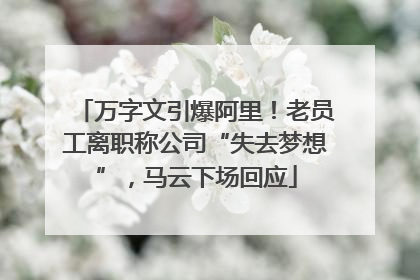 万字文引爆阿里！老员工离职称公司“失去梦想”，马云下场回应