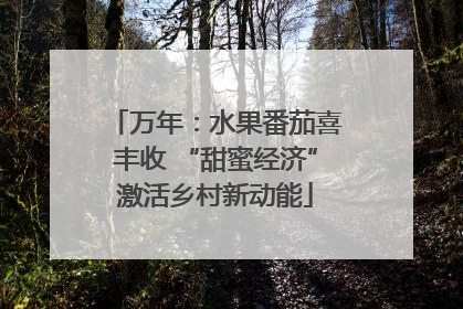 万年：水果番茄喜丰收 “甜蜜经济”激活乡村新动能