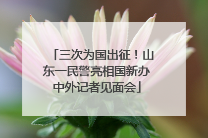 三次为国出征！山东一民警亮相国新办中外记者见面会