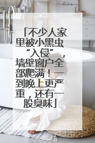 不少人家里被小黑虫“入侵”，墙壁窗户全部爬满！一到晚上更严重，还有一股臭味