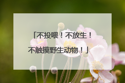 不投喂！不放生！不触摸野生动物！