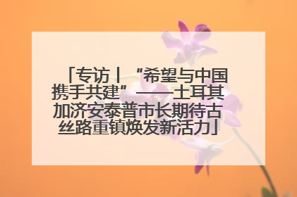 专访丨“希望与中国携手共建”——土耳其加济安泰普市长期待古丝路重镇焕发新活力