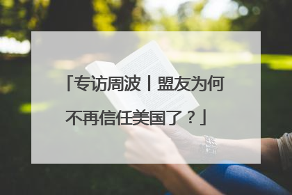 专访周波丨盟友为何不再信任美国了？