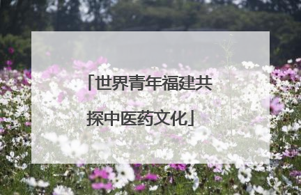 世界青年福建共探中医药文化