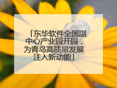 东华软件全国副中心产业园开园，为青岛高质量发展注入新动能