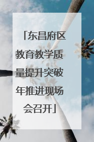 东昌府区教育教学质量提升突破年推进现场会召开