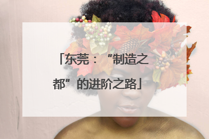 东莞：“制造之都”的进阶之路