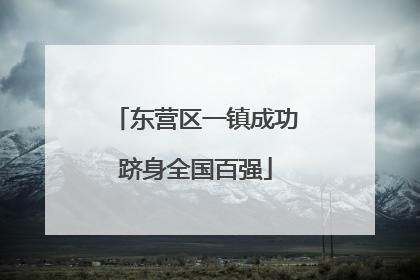 东营区一镇成功跻身全国百强