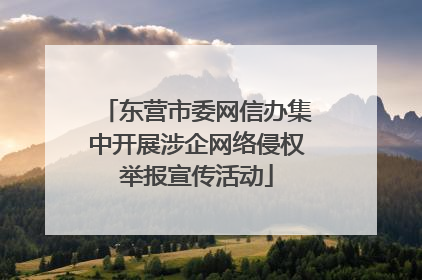 东营市委网信办集中开展涉企网络侵权举报宣传活动