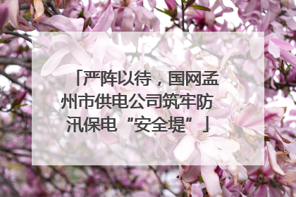 严阵以待，国网孟州市供电公司筑牢防汛保电“安全堤”