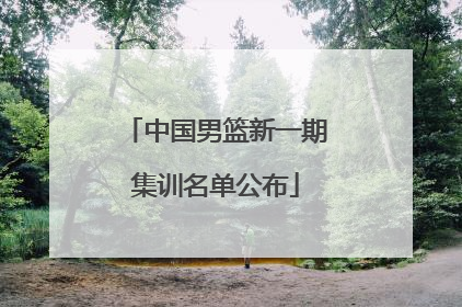 中国男篮新一期集训名单公布