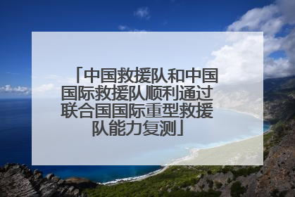 中国救援队和中国国际救援队顺利通过联合国国际重型救援队能力复测