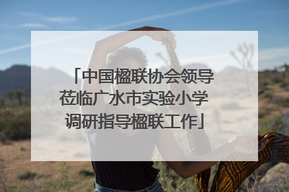 中国楹联协会领导莅临广水市实验小学调研指导楹联工作