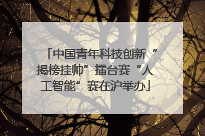 中国青年科技创新“揭榜挂帅”擂台赛“人工智能”赛在沪举办