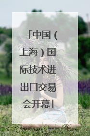中国（上海）国际技术进出口交易会开幕
