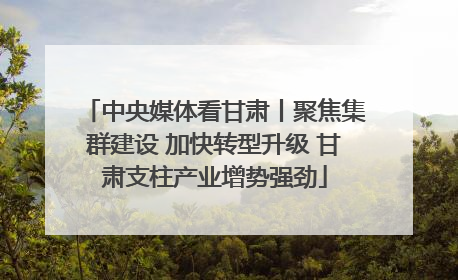 中央媒体看甘肃丨聚焦集群建设 加快转型升级 甘肃支柱产业增势强劲