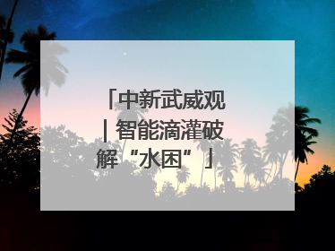 中新武威观｜智能滴灌破解“水困”