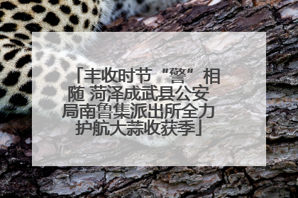 丰收时节“警”相随 菏泽成武县公安局南鲁集派出所全力护航大蒜收获季