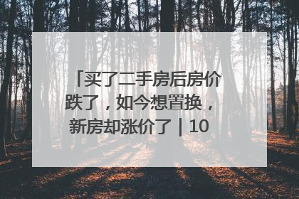 买了二手房后房价跌了，如今想置换，新房却涨价了｜100个买房故事