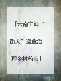 云南宁洱“街天”巡查治理乡村药市